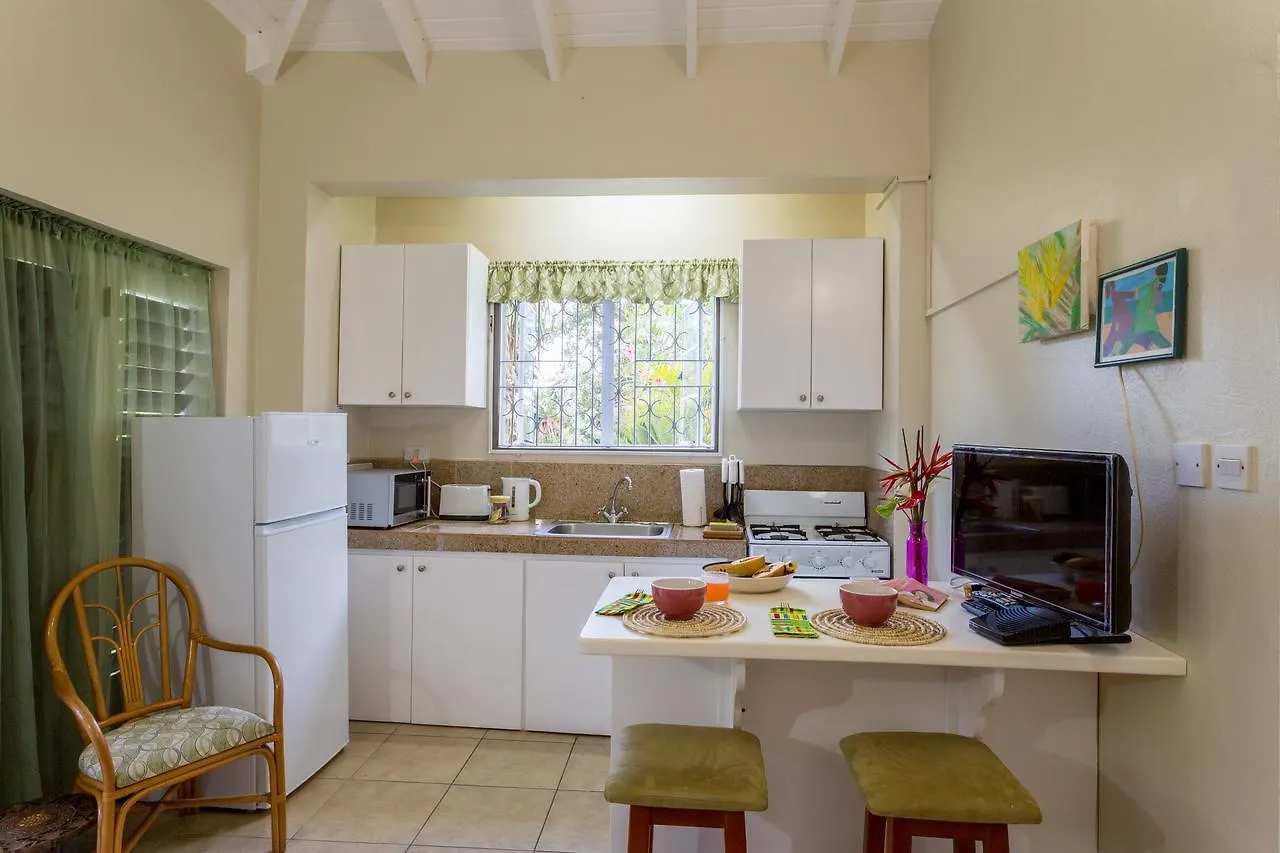 Smithy'S Eco-Apartment Morne Jaloux Ridge Daire